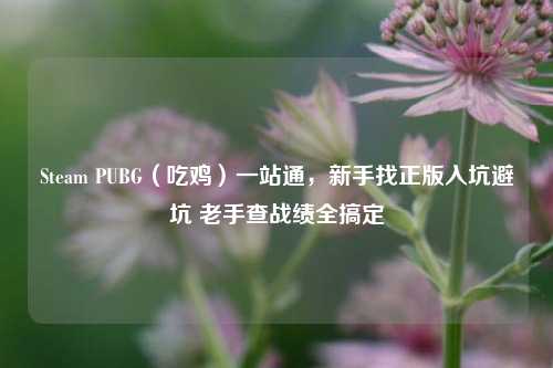 Steam PUBG（吃鸡）一站通，新手找正版入坑避坑 老手查战绩全搞定