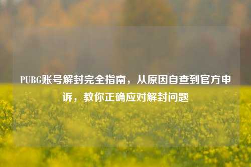 PUBG账号解封完全指南，从原因自查到官方申诉，教你正确应对解封问题