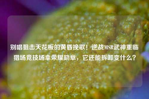 别唱狙击天花板的黄昏挽歌!逆战MSR武神重临猎场竞技场拿荣耀勋章,它还能拆卸变什么?
