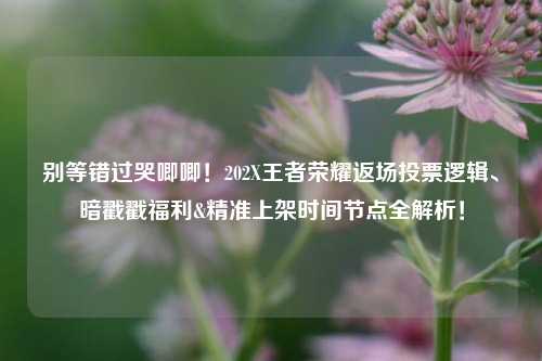 别等错过哭唧唧！202X王者荣耀返场投票逻辑、暗戳戳福利&精准上架时间节点全解析！