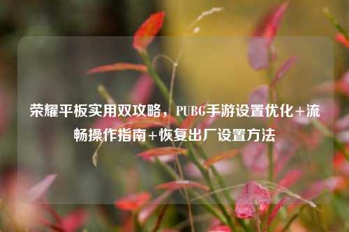 荣耀平板实用双攻略，PUBG手游设置优化+流畅操作指南+恢复出厂设置 *** 