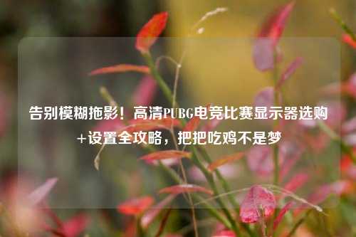 告别模糊拖影！高清PUBG电竞比赛显示器选购+设置全攻略，把把吃鸡不是梦
