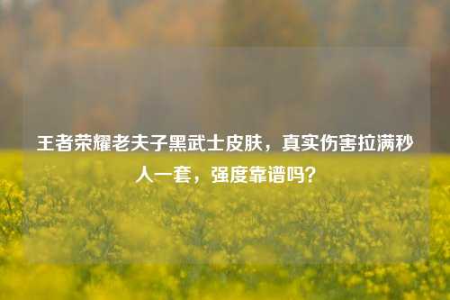 王者荣耀老夫子黑武士皮肤,真实伤害拉满秒人一套,强度靠谱吗?