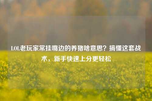 LOL老玩家常挂嘴边的养猪啥意思？搞懂这套战术，新手快速上分更轻松