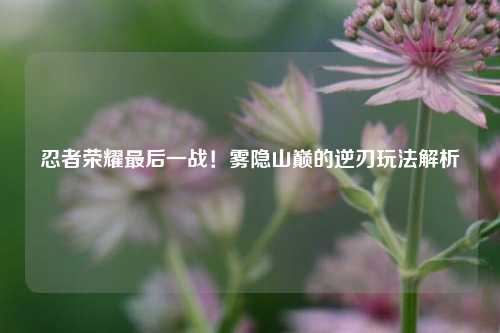 忍者荣耀最后一战!雾隐山巅的逆刃玩法解析