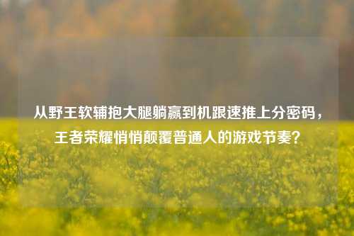 从野王软辅抱大腿躺赢到机跟速推上分密码，王者荣耀悄悄颠覆普通人的游戏节奏？