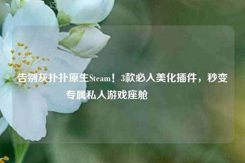 告别灰扑扑原生Steam！3款必入美化插件，秒变专属私人游戏座舱🎮
