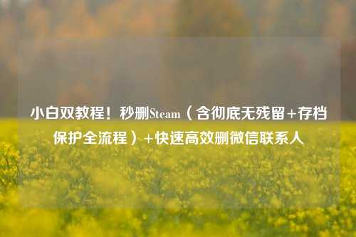 小白双教程！秒删Steam（含彻底无残留+存档保护全流程）+快速高效删微信联系人