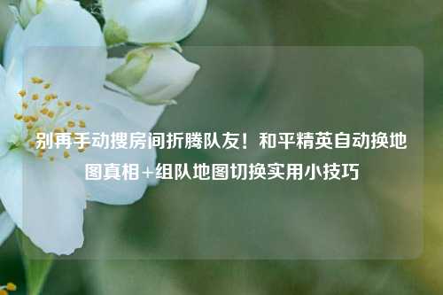 别再手动搜房间折腾队友!和平精英自动换地图真相+组队地图切换实用小技巧