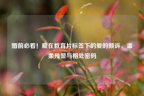 婚前必看！藏在教育片标签下的爱的倾诉，温柔预警与相处密码