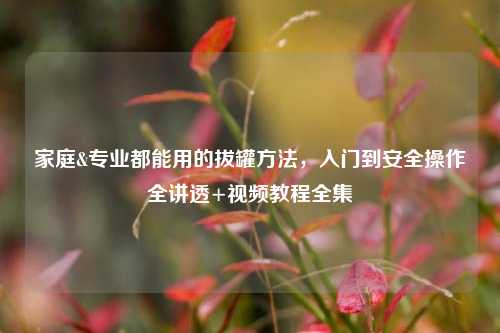 家庭&专业都能用的拔罐 *** ，入门到安全操作全讲透+视频教程全集