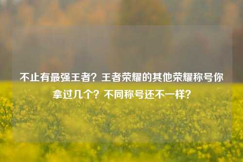 不止有最强王者?王者荣耀的其他荣耀称号你拿过几个?不同称号还不一样?