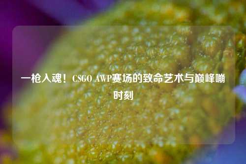 一枪入魂!CSGO AWP赛场的致命艺术与巅峰嘣时刻