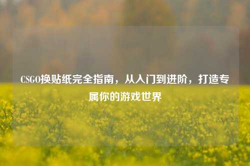 CSGO换贴纸完全指南，从入门到进阶，打造专属你的游戏世界