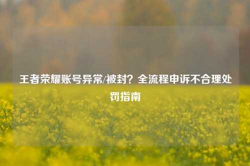王者荣耀账号异常/被封？全流程申诉不合理处罚指南