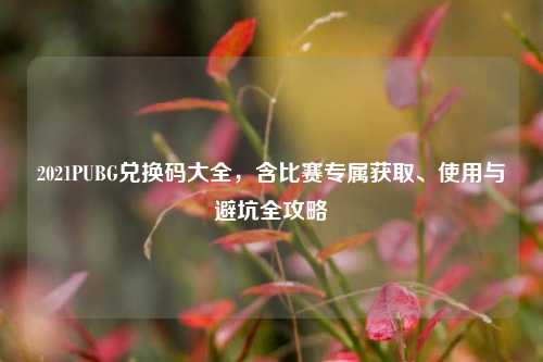 2021PUBG兑换码大全，含比赛专属获取、使用与避坑全攻略