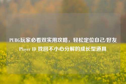 PUBG玩家必看双实用攻略,轻松定位自己/好友Player ID 找回不小心分解的成长型道具