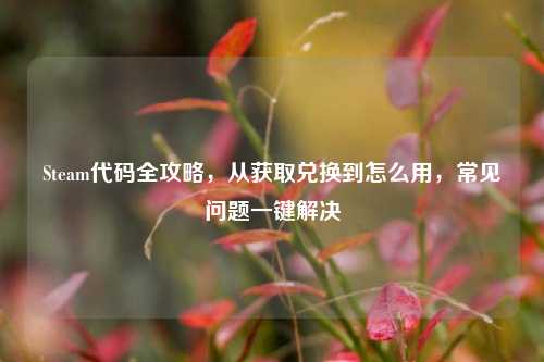 Steam代码全攻略,从获取兑换到怎么用,常见问题一键解决