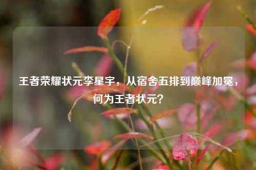 王者荣耀状元李星宇,从宿舍五排到巅峰加冕,何为王者状元?
