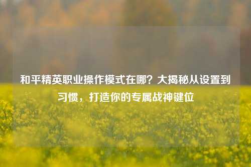 和平精英职业操作模式在哪?大揭秘从设置到习惯,打造你的专属战神键位