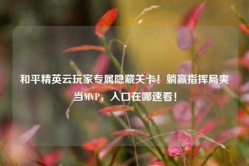 和平精英云玩家专属隐藏关卡!躺赢指挥局爽当MVP,入口在哪速看!