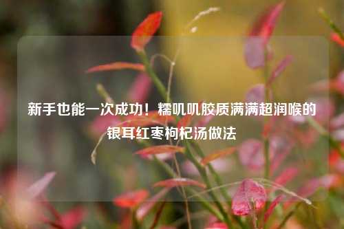 新手也能一次成功!糯叽叽胶质满满超润喉的银耳红枣枸杞汤做法