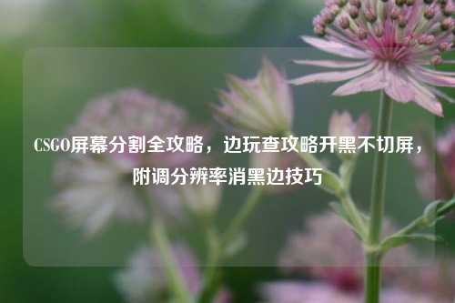 CSGO屏幕分割全攻略，边玩查攻略开黑不切屏，附调分辨率消黑边技巧