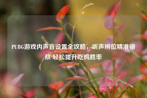 PUBG游戏内声音设置全攻略，听声辨位精准锁敌 轻松提升吃鸡胜率