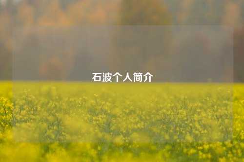 石波个人简介