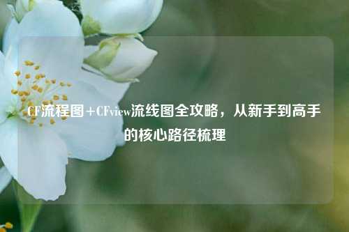 CF流程图+CFview流线图全攻略，从新手到高手的核心路径梳理