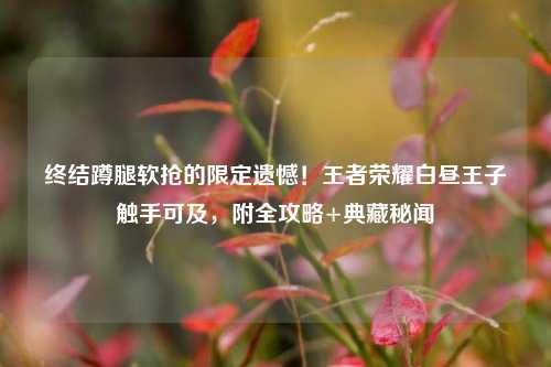 终结蹲腿软抢的限定遗憾!王者荣耀白昼王子触手可及,附全攻略+典藏秘闻