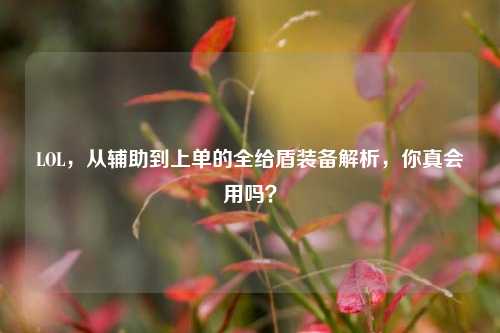 LOL,从辅助到上单的全给盾装备解析,你真会用吗?