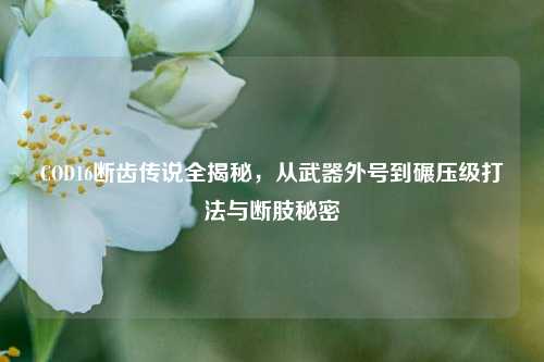 COD16断齿传说全揭秘，从武器外号到碾压级打法与断肢秘密