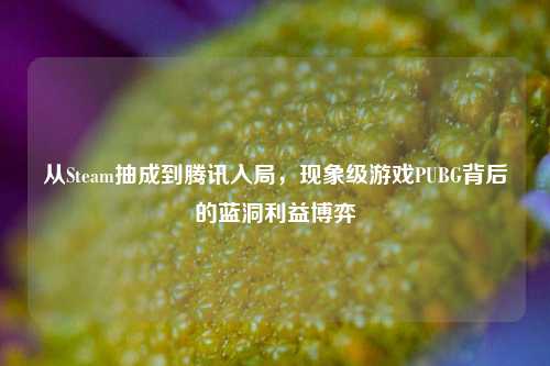 从Steam抽成到腾讯入局，现象级游戏PUBG背后的蓝洞利益博弈