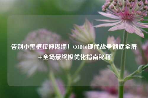 告别小黑框拉伸糊墙!COD16现代战争彻底全屏+全场景终极优化指南秘籍