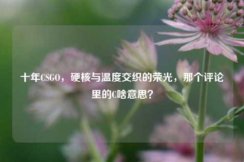 十年CSGO,硬核与温度交织的荣光,那个评论里的C啥意思?