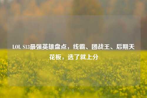 LOL S13最强英雄盘点,线霸、团战王、后期天花板,选了就上分