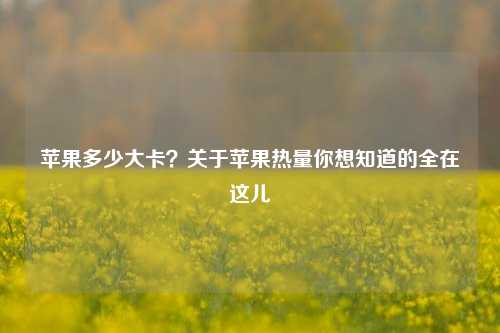 苹果多少大卡?关于苹果热量你想知道的全在这儿