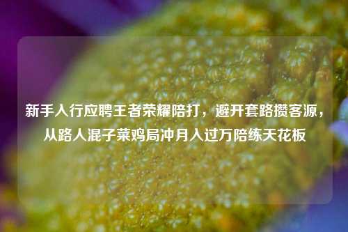 新手入行应聘王者荣耀陪打，避开套路攒客源，从路人混子菜鸡局冲月入过万陪练天花板