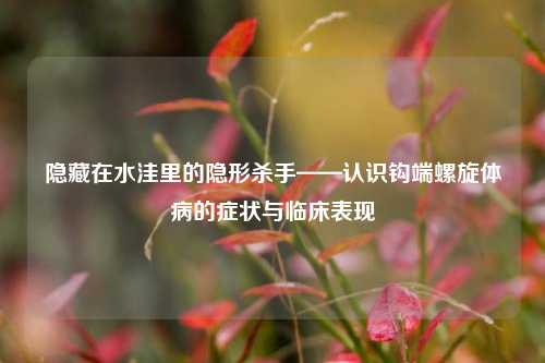 隐藏在水洼里的隐形杀手——认识钩端螺旋体病的症状与临床表现