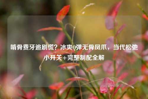 啃骨费牙追剧慌?冰爽Q弹无骨凤爪,当代松弛小开关+完整制配全解