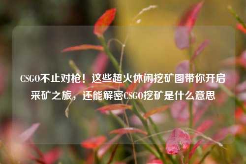 CSGO不止对枪!这些超火休闲挖矿图带你开启采矿之旅,还能解密CSGO挖矿是什么意思