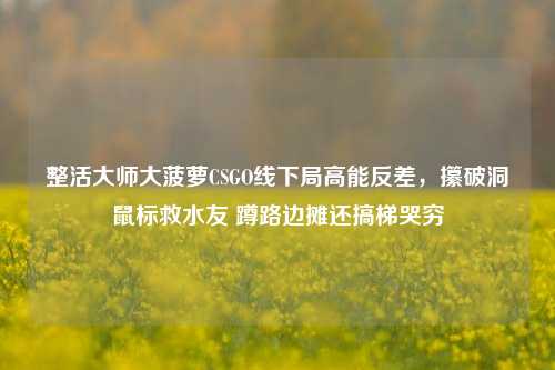 整活***大菠萝CSGO线下局高能反差,攥破洞鼠标救水友 蹲路边摊还搞梯哭穷