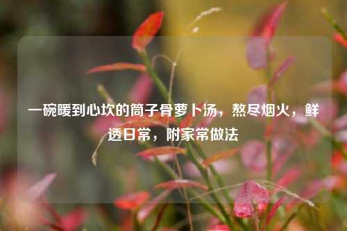 一碗暖到心坎的筒子骨萝卜汤,熬尽烟火,鲜透日常,附家常做法