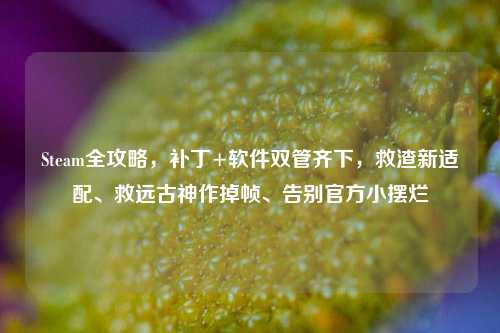 Steam全攻略,补丁+软件双管齐下,救渣新适配、救远古神作掉帧、告别官方小摆烂