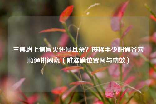 三焦堵上焦冒火还闷耳朵?按揉手少阳通谷穴顺通排闷烧(附准确位置图与功效)