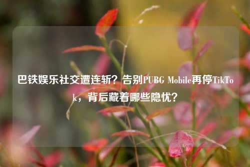 巴铁娱乐社交遭连斩?告别PUBG Mobile再停TikTok,背后藏着哪些隐忧?
