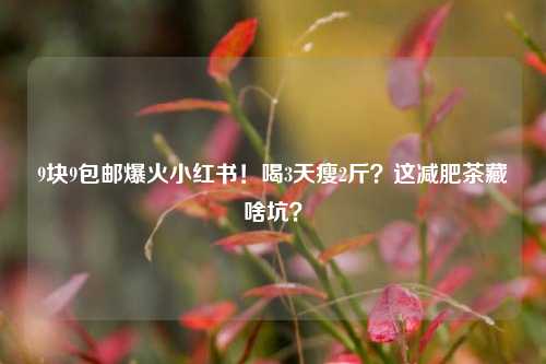 9块9包邮爆火小红书！喝3天瘦2斤？这减肥茶藏啥坑？