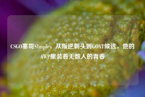 CSGO塞哥S1mple,从叛逆刺头到GOAT候选,他的AWP里装着无数人的青春