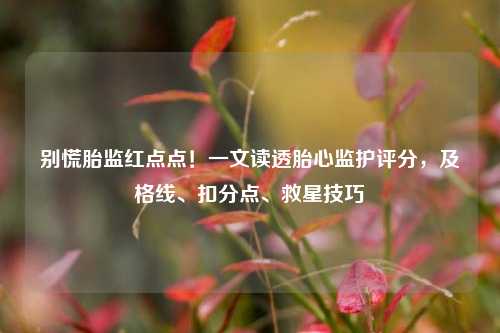别慌胎监红点点!一文读透胎心监护评分,及格线、扣分点、救星技巧